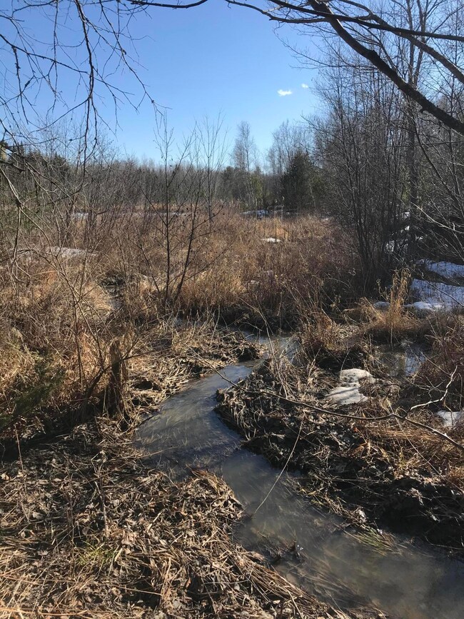 Stream