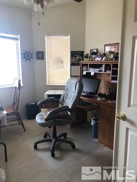 923 Driftwood Ln, Fallon, NV 89406 - photo 6