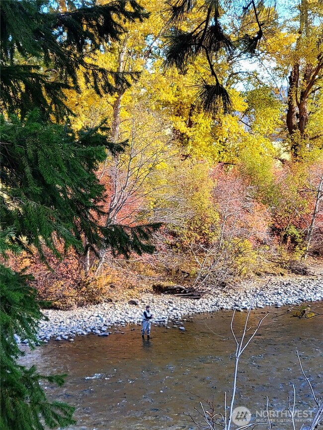 Fly Fisherman on a beautiful fall day