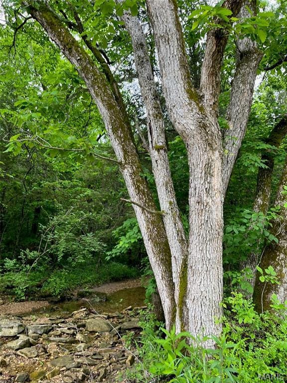 2244 Liberty Crossing Trail, Hillsboro, MO 63050 - photo 5