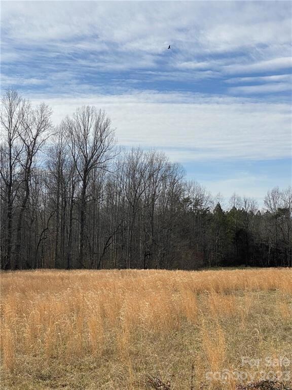 540 & 544 New Salem Rd unit 10 & 11, Statesville, NC 28625 - photo 4