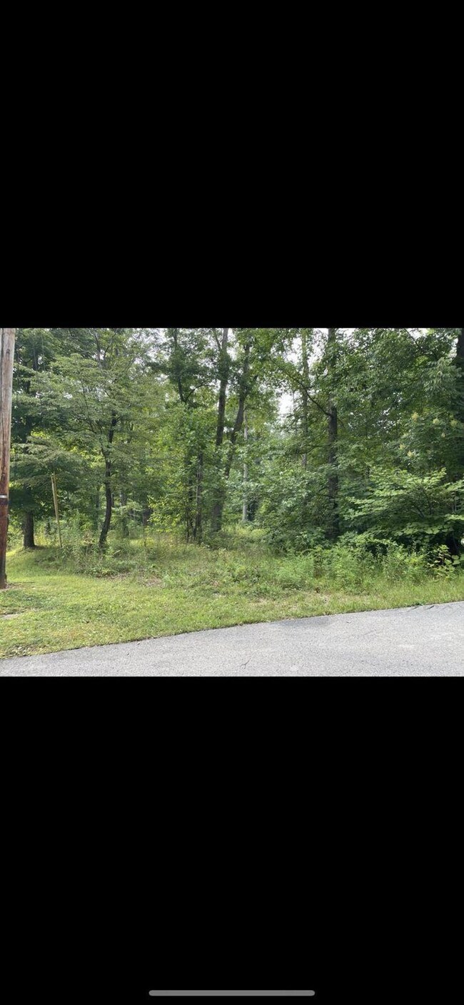 2958 Roberts Bend Rd, Burnside, KY 42519 - photo 6