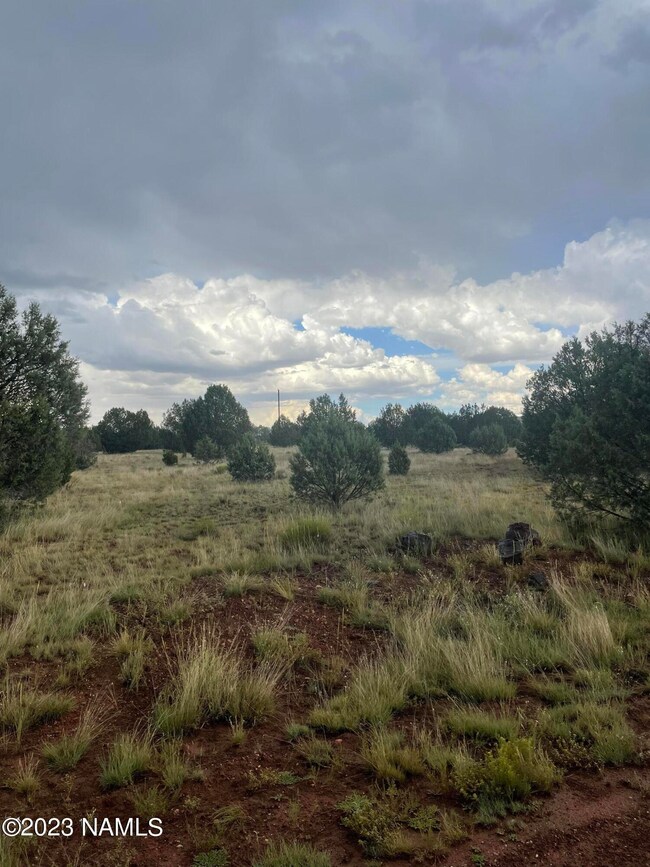 Valley View 5
