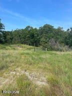 20230804141010110118000000