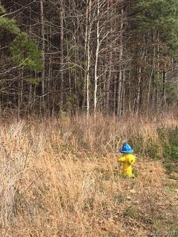 00 Hwy 73 Rd, Iron Station, NC 28092 - photo 5