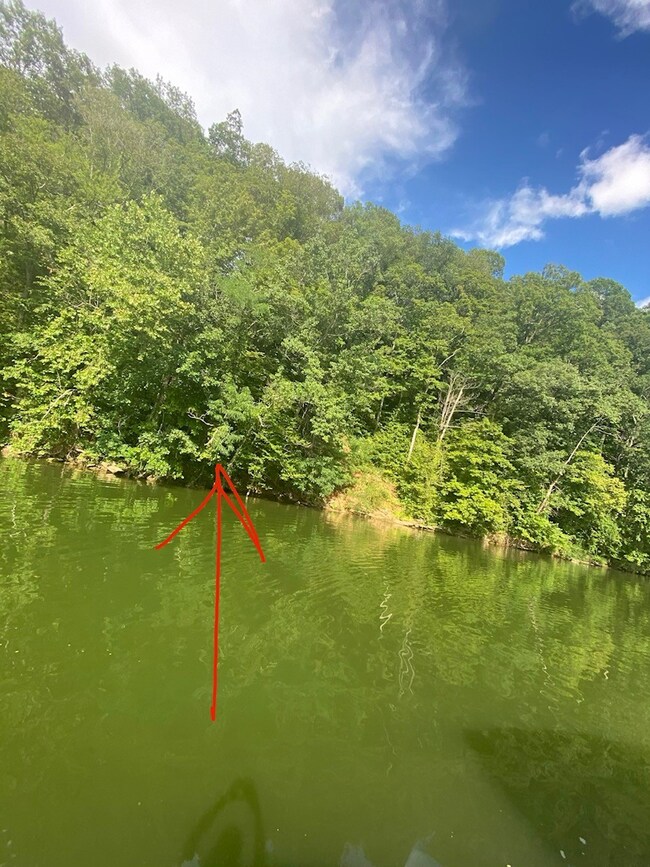 0 Camp Overton Rd, Rock Island, TN 38581 - photo 5