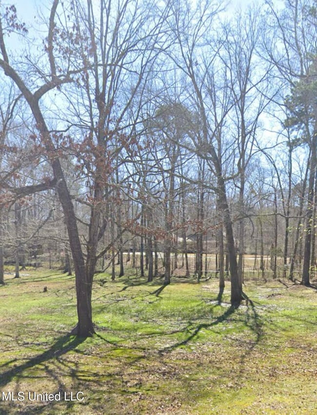 1069 Halton Ct, Brandon, MS 39047 - photo 4