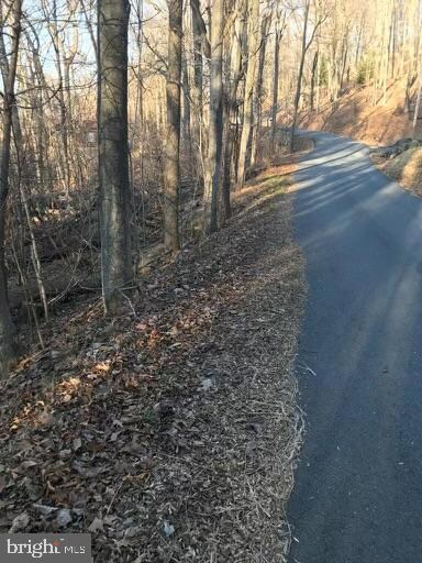 0 Northern Spy Dr, Linden, VA 22642 - photo 6