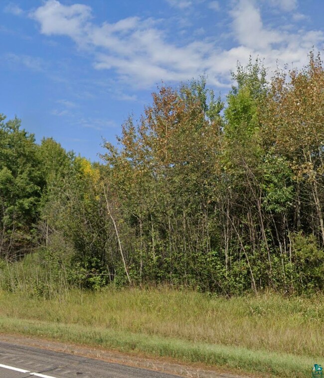 View of local wilderness