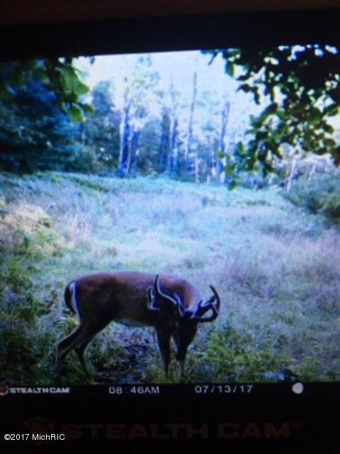 0 E 1st St, Custer, MI 49405 - photo 7