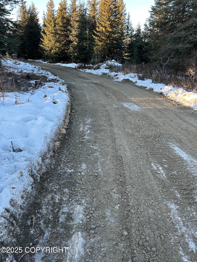 L14 Nka Crossman Ridge Ave, Homer, AK 99603 - photo 3