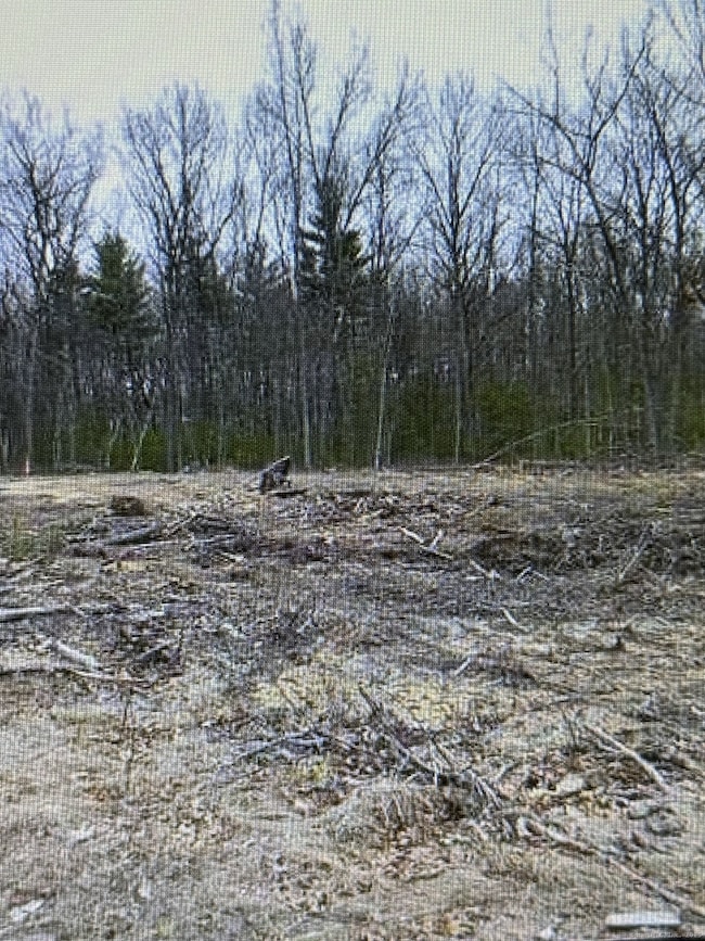 25 Matthew Ln, Windsor, CT 06095 - photo 3