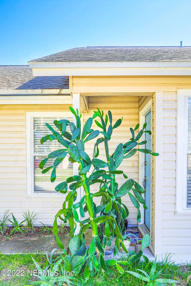 Front Door-Cactus