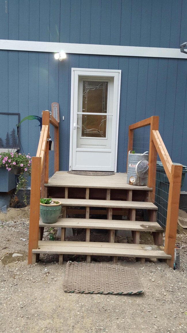 entry door - steps