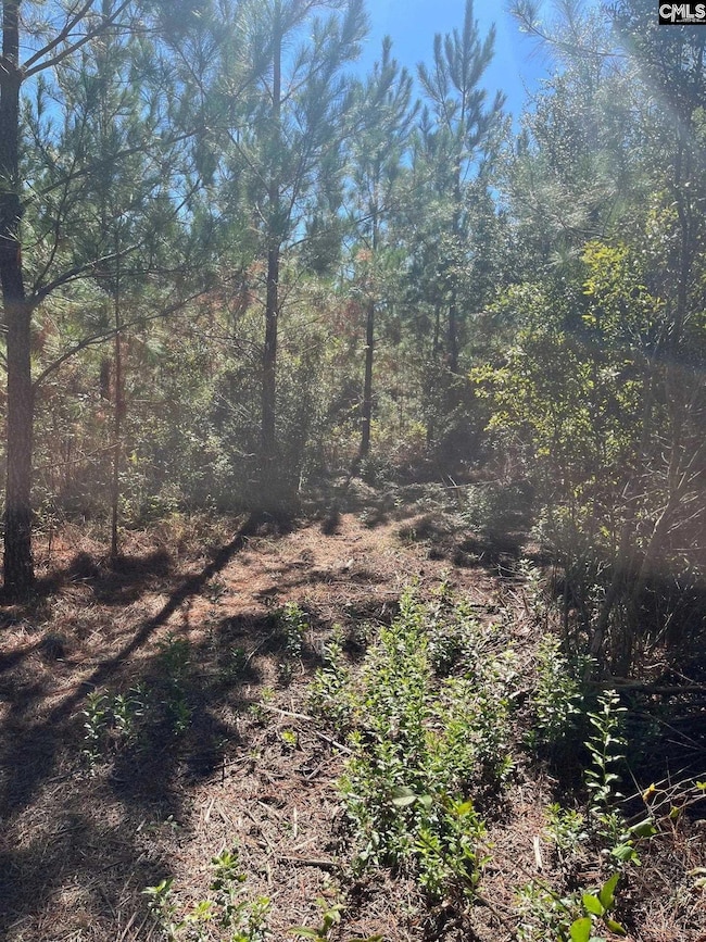 Bff 1e Brunson Teal Rd unit Bff 1e, Patrick, SC 29584 - photo 2