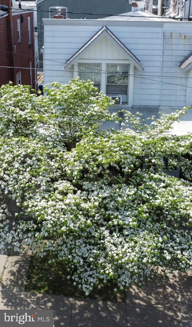 1224 Robeson St, Reading, PA 19604 - photo 3