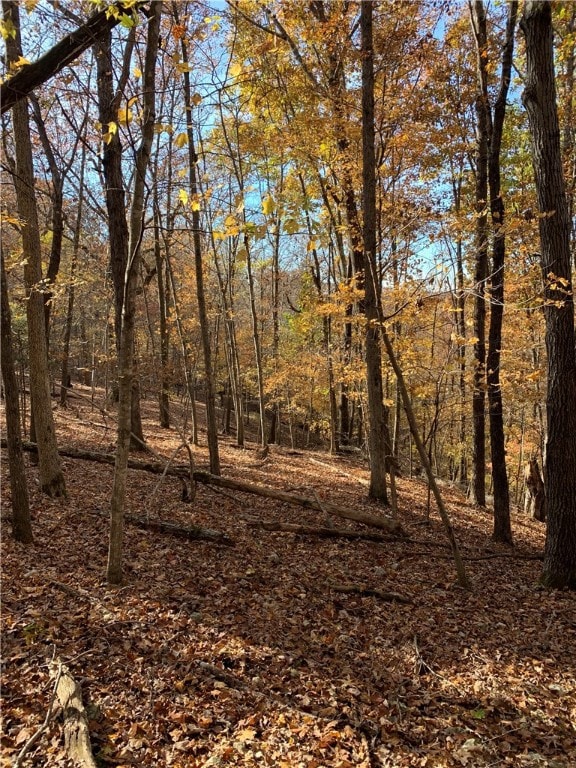 4.32 AC Barzel Point Rd, Rogers, AR 72756 - photo 7