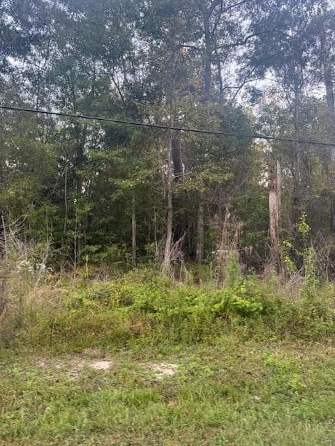 0 N Will Richardson Rd, Parish Governing Authority District 9, LA 70454 - photo 2