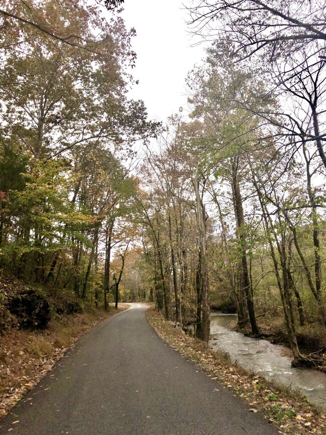 Picture Perfect... just part of the beautiful drive up Mud Hollow Rd!!!