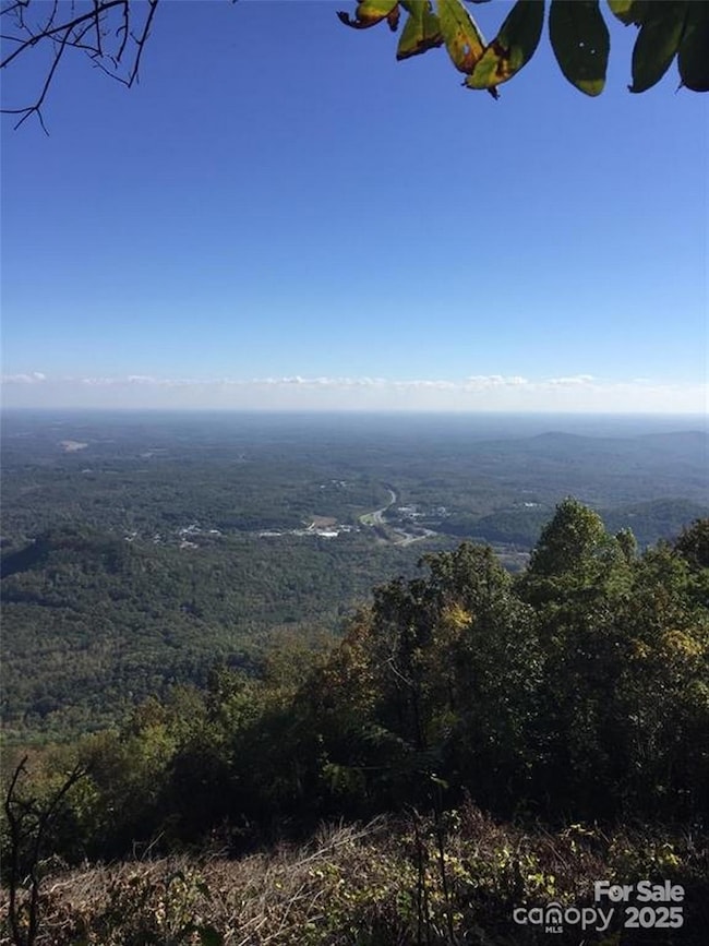 00 Morning Ride Dr unit 38, Columbus, NC 28722 - photo 2