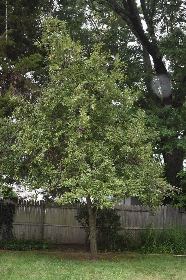 755 Leonardville Rd, Leonardo, NJ 07737 - photo 5