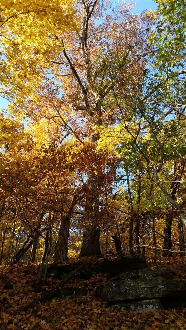 TBD (86 ac mol) Pine Tree Rd, Prairie Grove, AR 72753 - photo 5