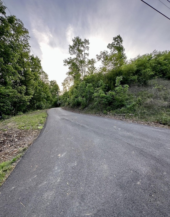 0 Tranquility Trail unit 20325655, Dandridge, TN 37725 - photo 3