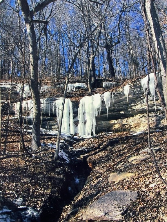0 Tbd Tract 5 Dam Site Loop, Garfield, AR 72732 - photo 6