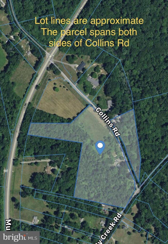 445 Collins Rd, Edgewater, MD 21037 - photo 3