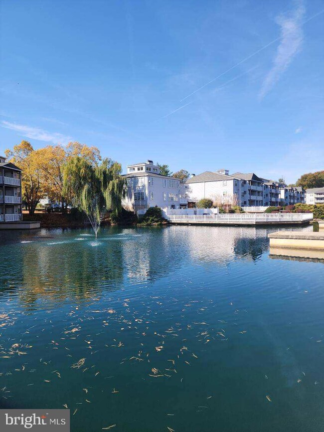 401 Waters Edge Dr unit 401, Newark, DE 19702 - photo 4