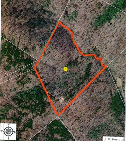 17.5 acres with trails - walking and ATV, plus bor