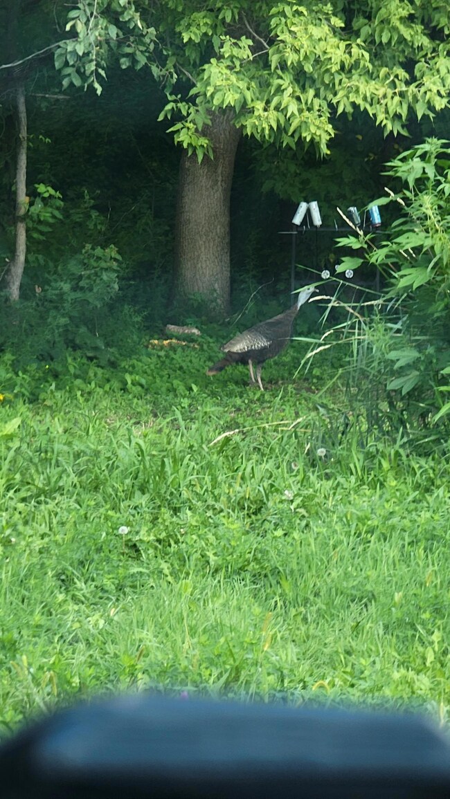 23000 Larsen Rd, Corcoran, MN 55340 - photo 6