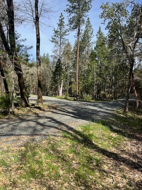 255 Pine Tree Dr, Williams, OR 97544 - photo 5