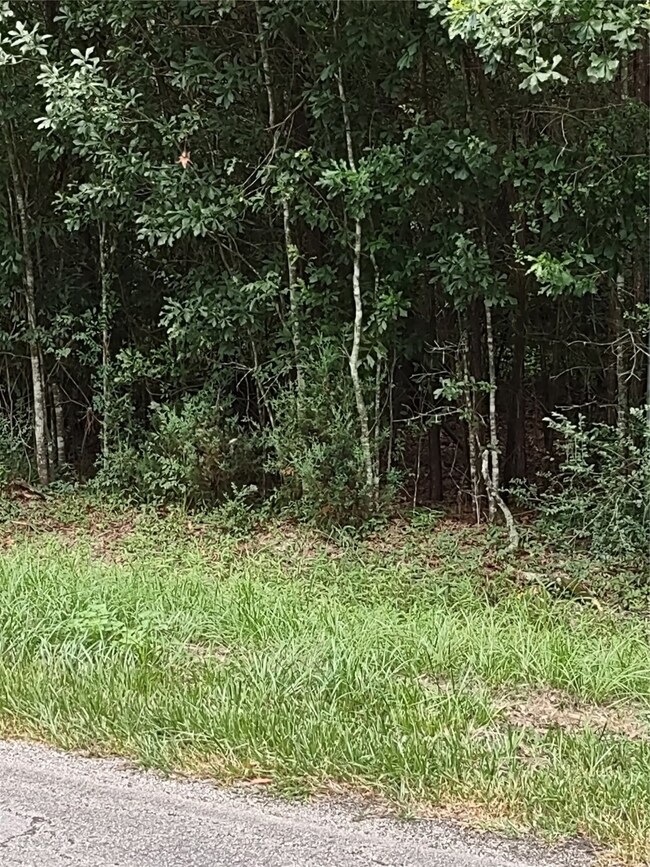 26707 Apache Trail, Magnolia, TX 77354 - photo 3