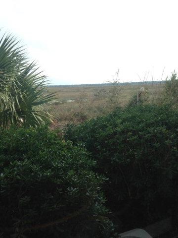 365 Moss Oak Cir unit 365, St. Simons Island, GA 31522 - photo 4
