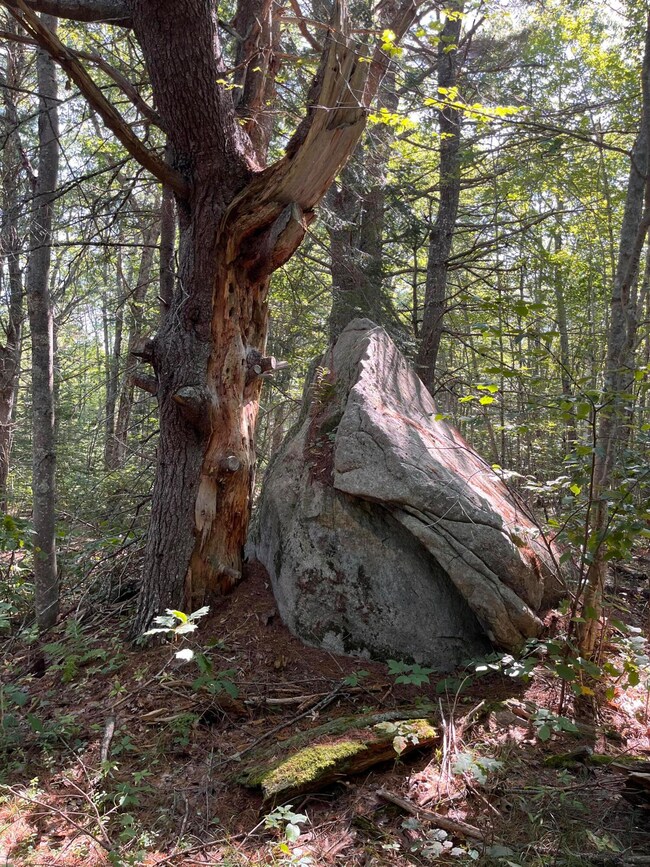 38E Maine 32, Round Pond, ME 04564 - photo 5