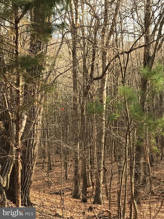 0 Timberlane Ridge unit 1000411928, Star Tannery, VA 22654 - photo 2