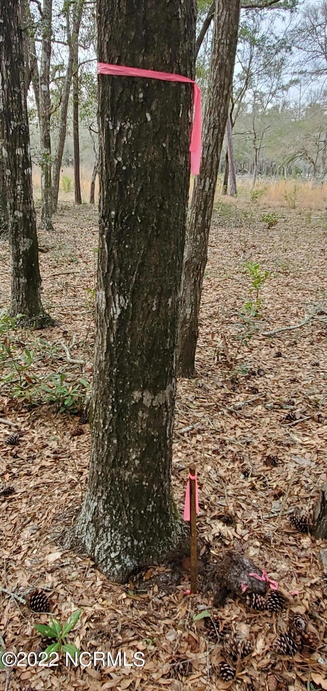 survey post back