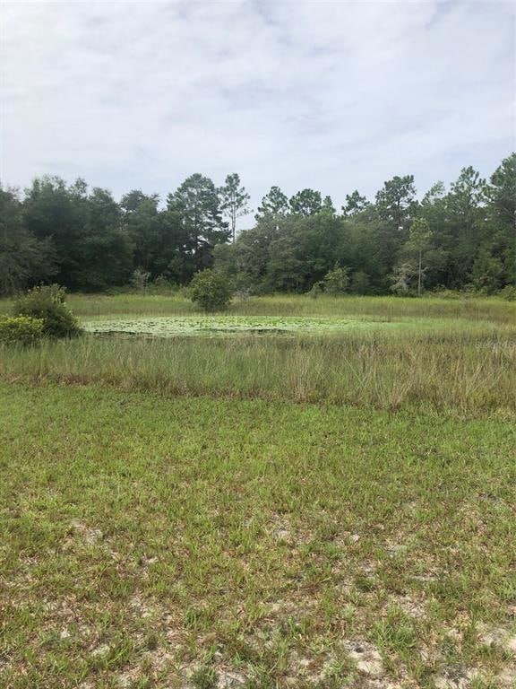 8397 Normlee Rd, Weeki Wachee, FL 34613 - photo 5