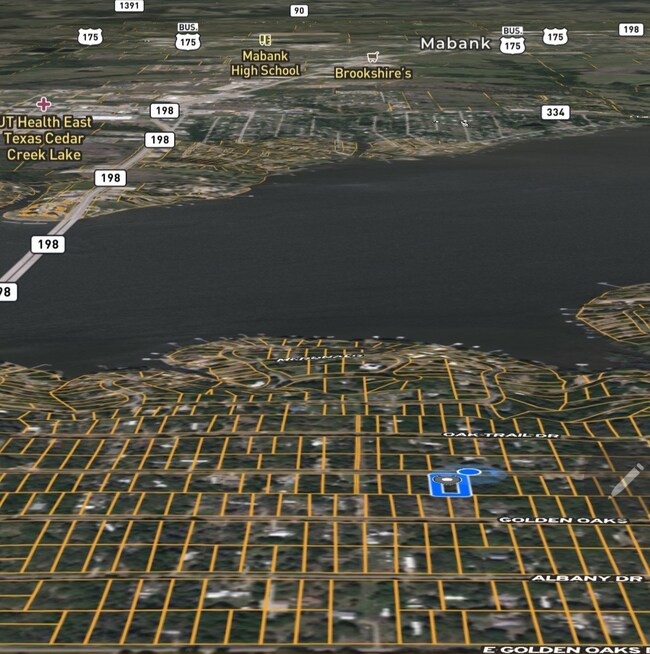 TBD Rush Rd, Mabank, TX 75156 - photo 6