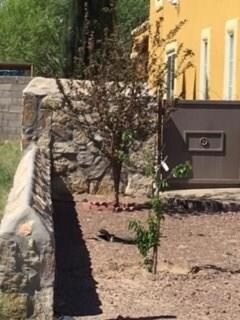 Additional Photo