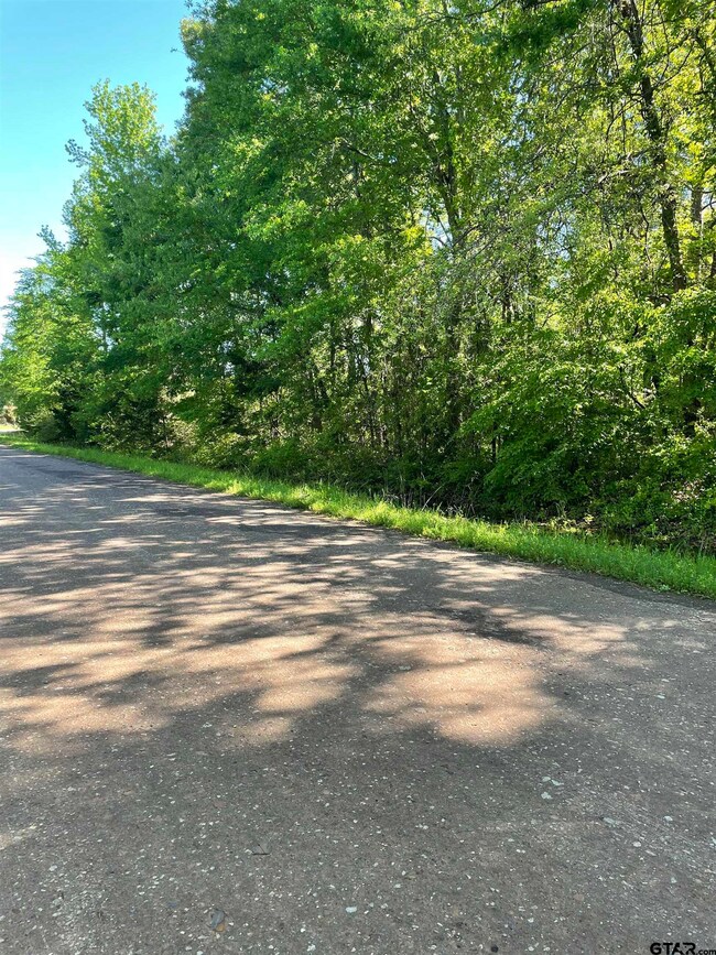 6001 County Road 233, Tyler, TX 75705 - photo 5