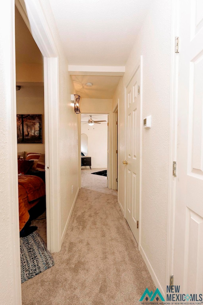 109 N 10th St, Carlsbad, NM 88220 - photo 7