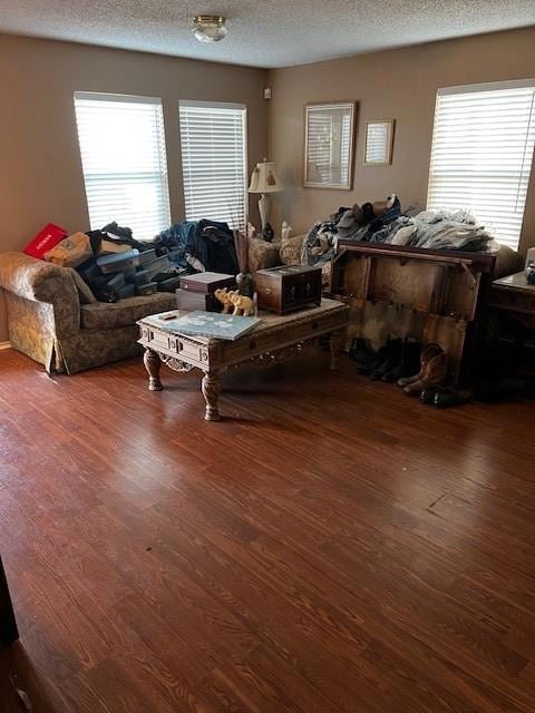 Living room featuring dark wood-type flooring and 