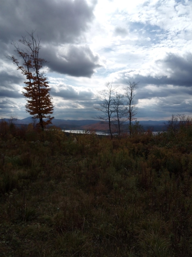 O Toad Pond Rd, Morgan, VT 05853 - photo 4