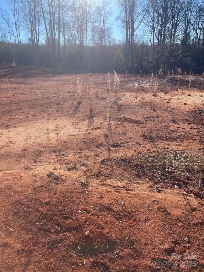 0 Springbrook Ln unit CAR4330953, Rutherfordton, NC 28117 - photo 5