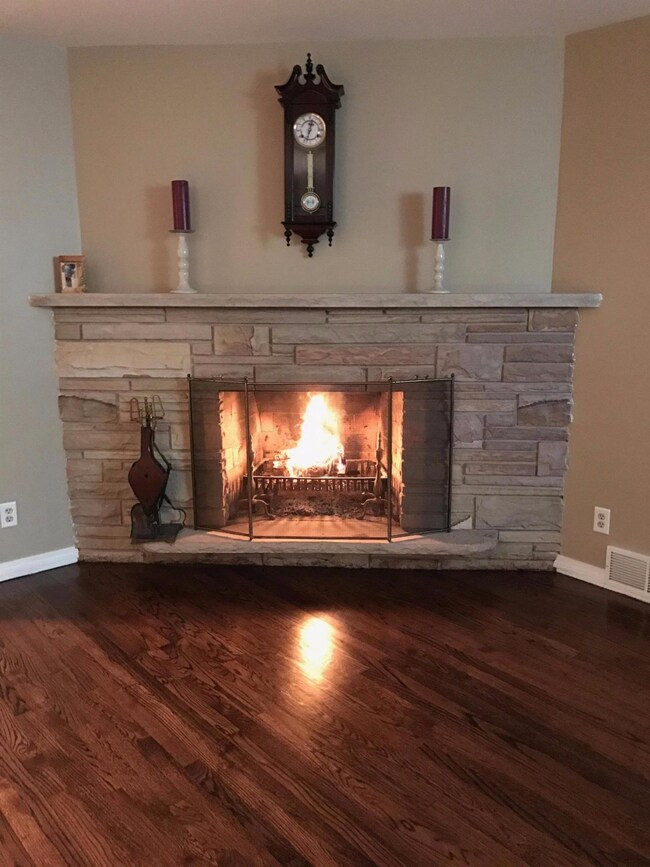 745 N Broad St, Griffith, IN 46319 - photo 6