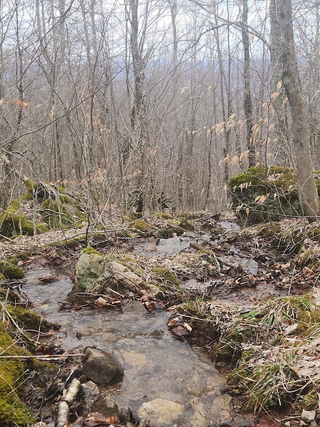 TBD Harper Trail, Valley Bend, WV 26293 - photo 3