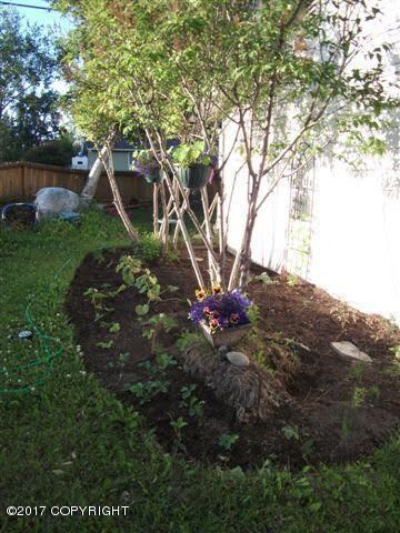 Strawberry garden