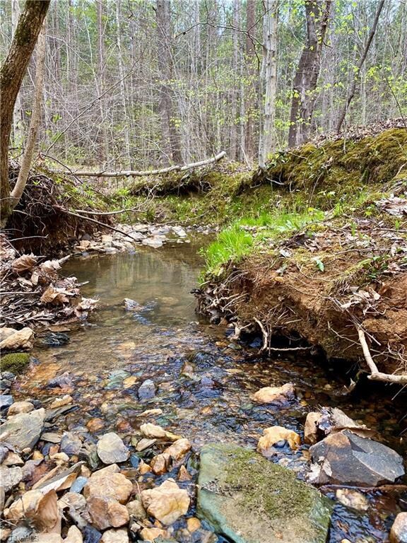 00 Benton Road Extension, Sophia, NC 27350 - photo 6